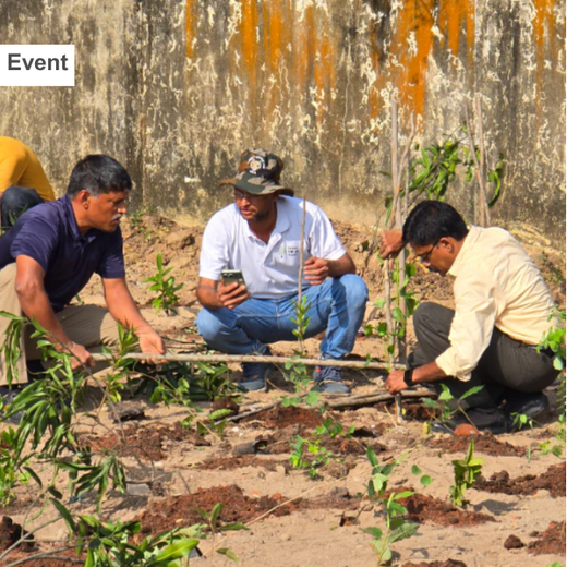 Caterpillar's Legacy: A Learning forest in Kadambathur, Thiruvallur – 6 months