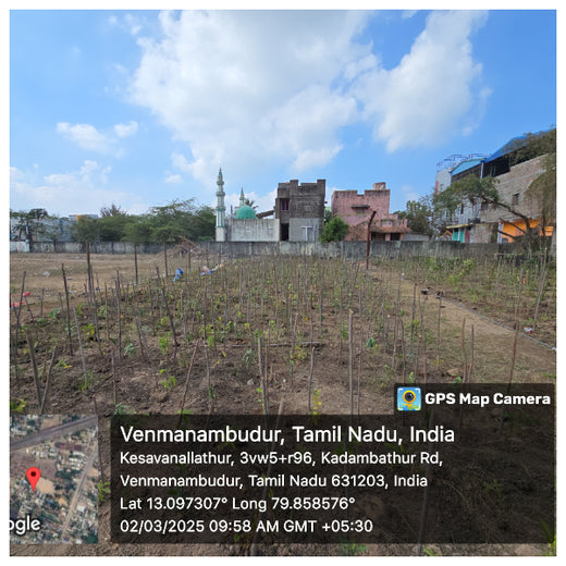 Caterpillar's Legacy: A Learning forest in Kadambathur, Thiruvallur – 1 year