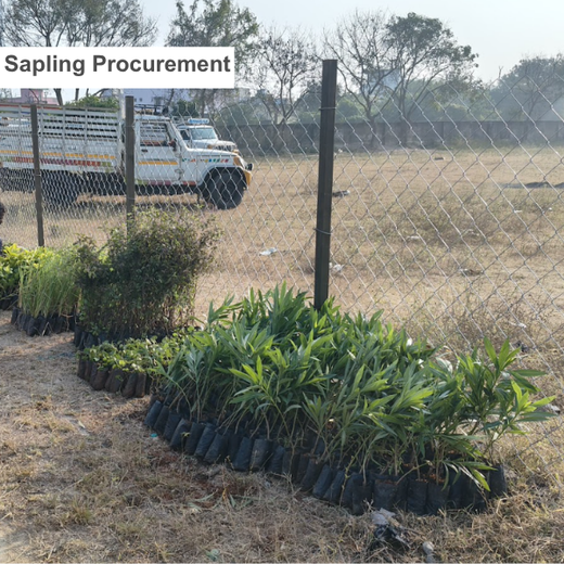 Caterpillar's Legacy: A Learning forest in Kadambathur, Thiruvallur – Planting