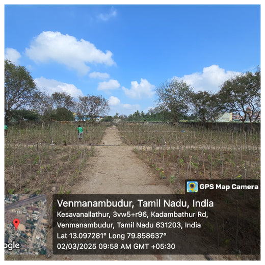 Caterpillar's Legacy: A Learning forest in Kadambathur, Thiruvallur – 1 year