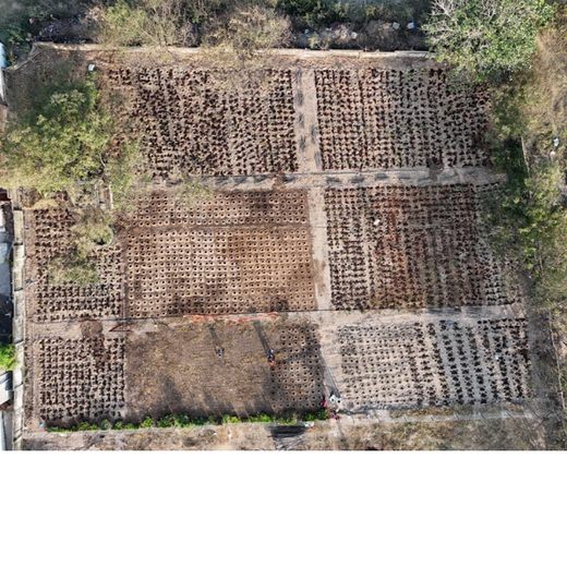 Caterpillar's Legacy: A Learning forest in Kadambathur, Thiruvallur – Planting