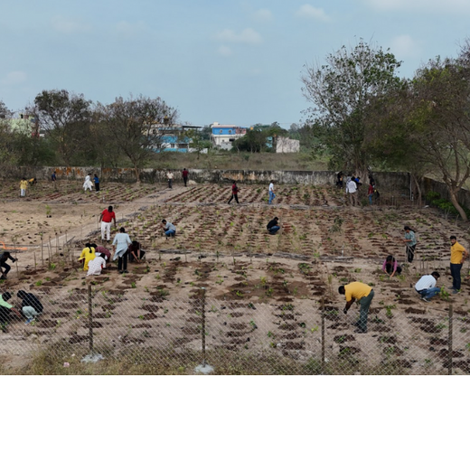 Caterpillar's Legacy: A Learning forest in Kadambathur, Thiruvallur – 6 months
