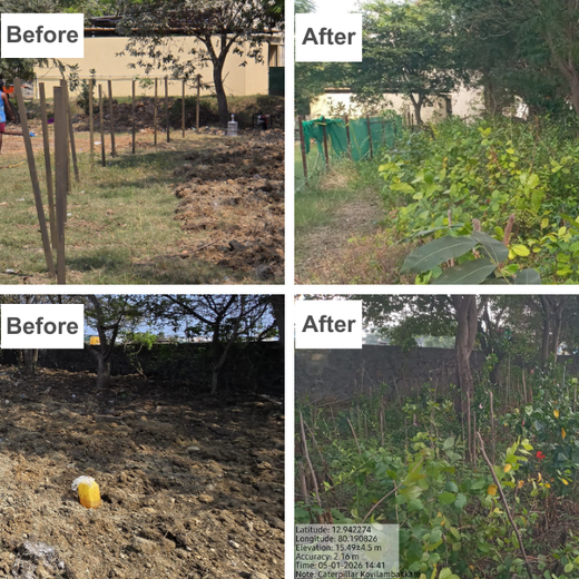 Caterpillar's Legacy: A Learning forest in Kovilambakkam, Chennai – 2 years