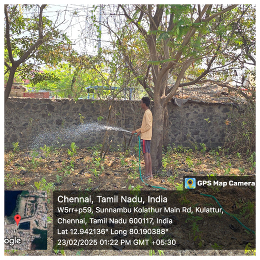Caterpillar's Legacy: A Learning forest in Kovilambakkam, Chennai – 1 year