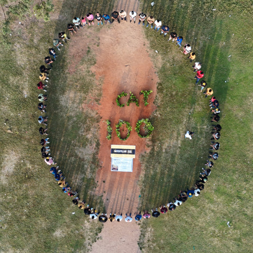 Caterpillar's Legacy: A Learning forest in Kovilambakkam, Chennai – 6 months
