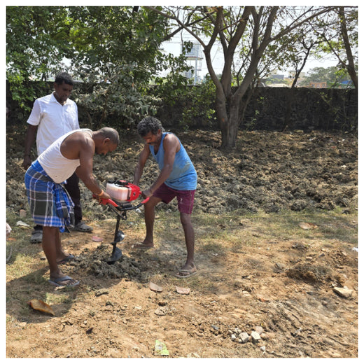 Caterpillar's Legacy: A Learning forest in Kovilambakkam, Chennai – Planting