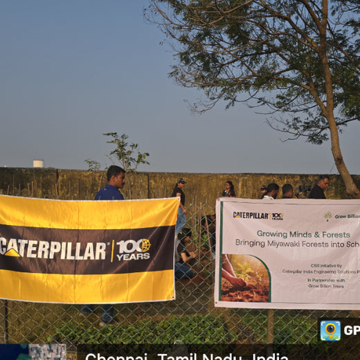 Caterpillar's Legacy: A Learning forest in Kovilambakkam, Chennai – 6 months