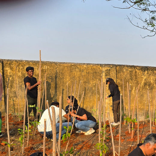 Caterpillar's Legacy: A Learning forest in Kovilambakkam, Chennai – 6 months
