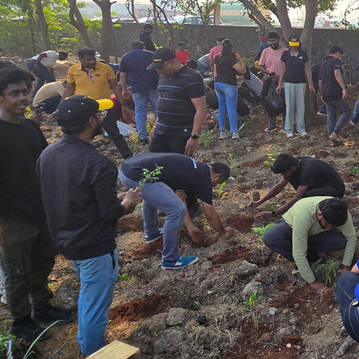 Caterpillar's Legacy: A Learning forest in Kovilambakkam, Chennai – 6 months
