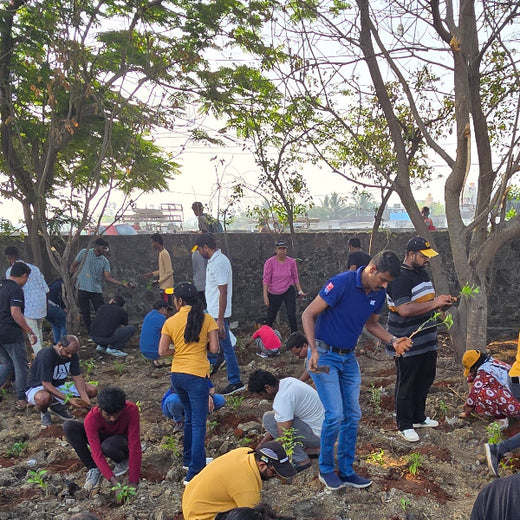Caterpillar's Legacy: A Learning forest in Kovilambakkam, Chennai – 6 months