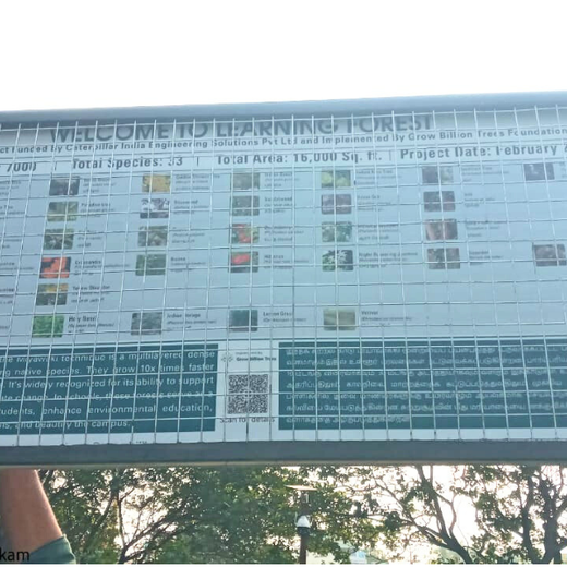 Caterpillar's Legacy: A Learning forest in Kovilambakkam, Chennai – 6 months