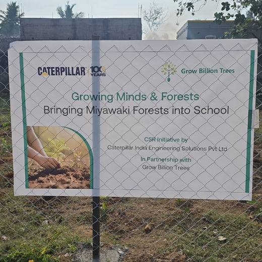 Caterpillar's Legacy: A Learning forest in Sevvapet, Thiruvallur – 6 months