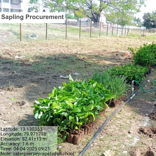 Caterpillar's Legacy: A Learning forest in Sevvapet, Thiruvallur – Planting