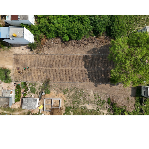 Caterpillar's Legacy: A Learning forest in Sirukadal, Thiruvallur – Planting