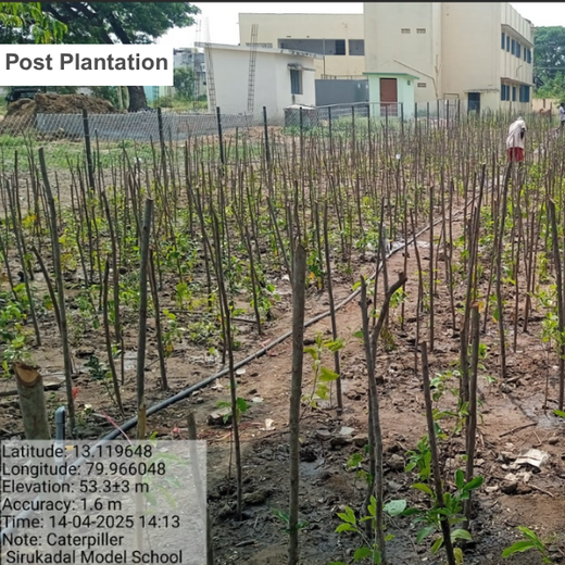 Caterpillar's Legacy: A Learning forest in Sirukadal, Thiruvallur – 6 months