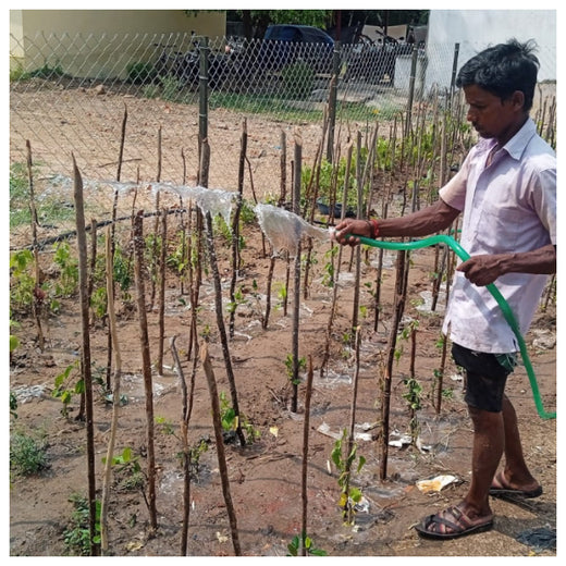 Caterpillar's Legacy: A Learning forest in Sirukadal, Thiruvallur – 6 months