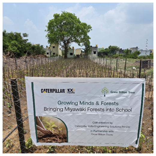 Caterpillar's Legacy: A Learning forest in Sirukadal, Thiruvallur – 6 months