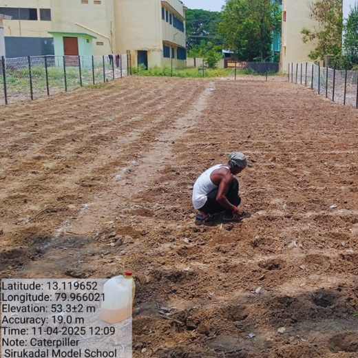 Caterpillar's Legacy: A Learning forest in Sirukadal, Thiruvallur – Planting