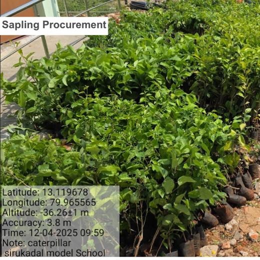 Caterpillar's Legacy: A Learning forest in Sirukadal, Thiruvallur – Planting