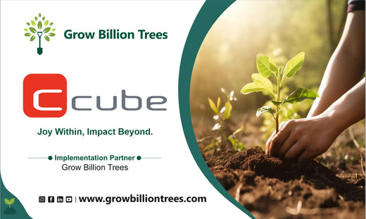 Smart Solutions, Green Impact: Ccube’s Urban Forest Initiative – 6 months