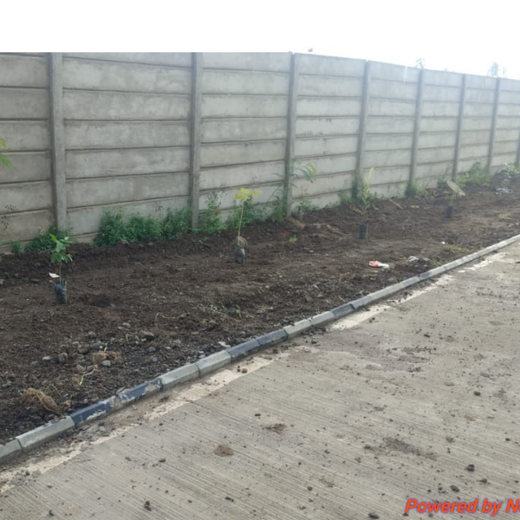 Smart Solutions, Green Impact: Ccube’s Urban Forest Initiative – Planting