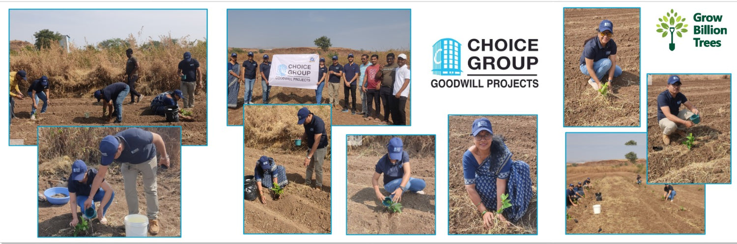 Earth First: Choice Group’s Tribute to the Motherland – Grow Billion Trees