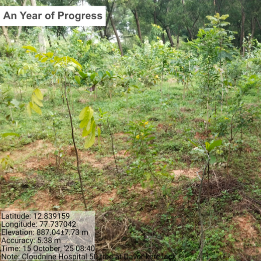 A Breath of Fresh Air: Cloudnine Hospitals' Commitment to Urban Forests – 1 year