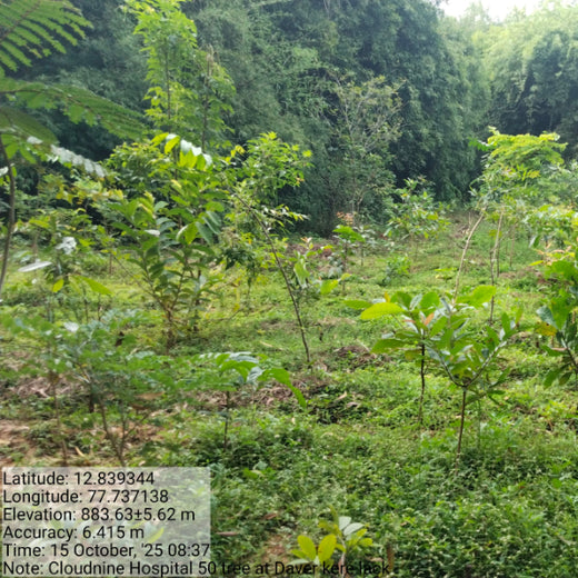 A Breath of Fresh Air: Cloudnine Hospitals' Commitment to Urban Forests – 1 year