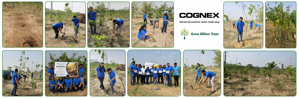 Eco-Inclusive: Cognex Unites for Environment Day