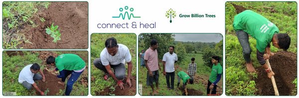 Connect and Heal Primary Care: Trees for a Thriving Planet