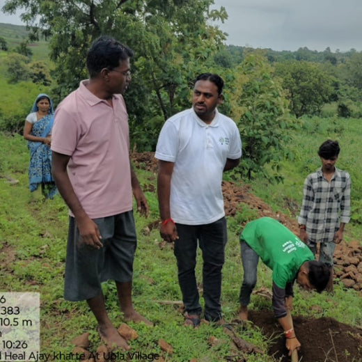 Connect and Heal Primary Care: Trees for a Thriving Planet – Planting