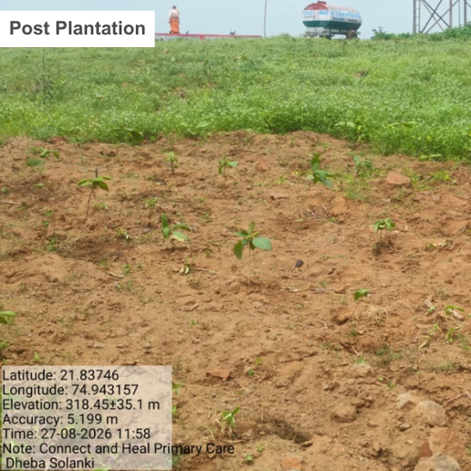 Connect and Heal Primary Care: Trees for a Thriving Planet – Planting