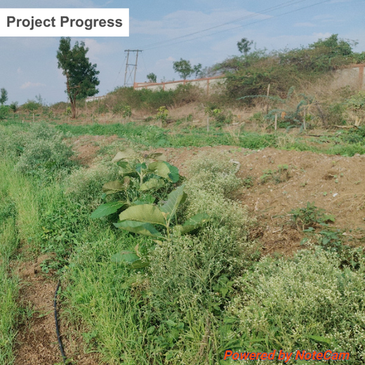 Cultivating Change: Consortium Gifts’ Path to Sustainability – 6 months