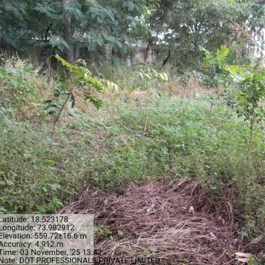 Digital Roots, Green Shoots: DOT PROFESSIONALS'  Urban Forest CSR Drive – 1 year