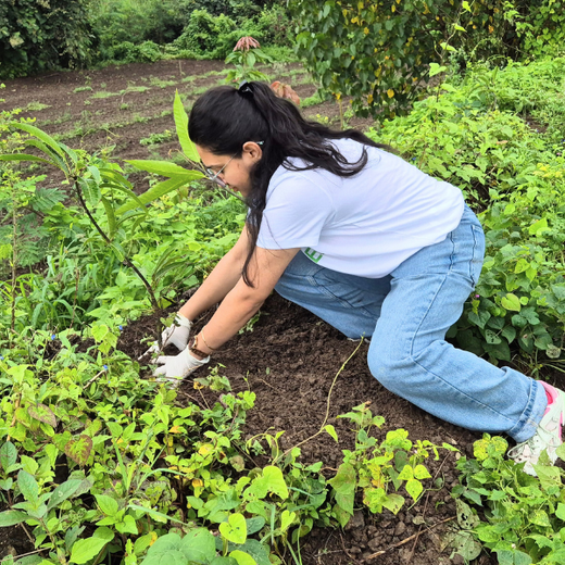 DWS Fosters Employee Engagement Through Tree Plantation Initiative – 6 months