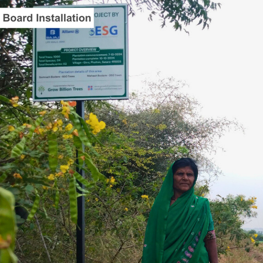 Growing Green: Bajaj Allianz Life Insurance’s Agroforestry Initiative – 6 months