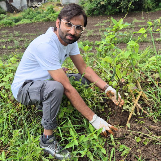 DWS Fosters Employee Engagement Through Tree Plantation Initiative – 6 months