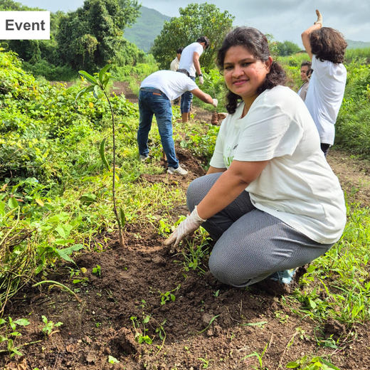 DWS Fosters Employee Engagement Through Tree Plantation Initiative – 6 months