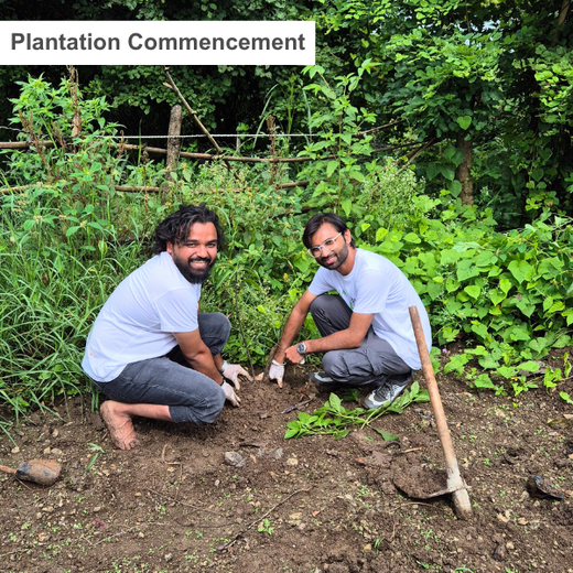 DWS Fosters Employee Engagement Through Tree Plantation Initiative – 6 months