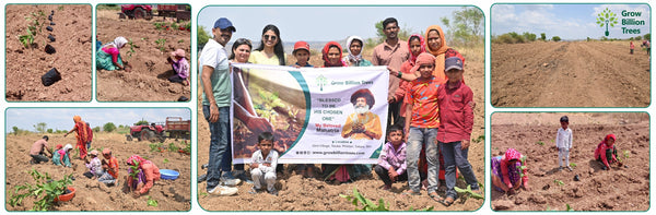A Green Tribute of Devotion: Deepa Dadu’s Sacred Sustainability