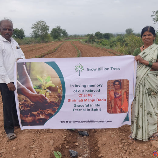A Green Gesture by Deepa Dadu for a Golden Heart: Love that Lives On – Planting