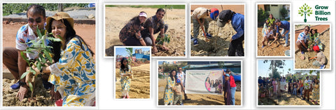 Long Live the Queens: Celebrating Wives' Birthdays with a Tree Plantation Tribute