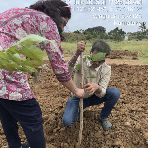 Magic, Love, and a Million Leaves: Celebrating Mehak at 10 – Planting
