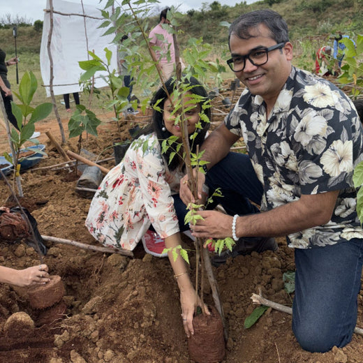 Magic, Love, and a Million Leaves: Celebrating Mehak at 10 – Planting