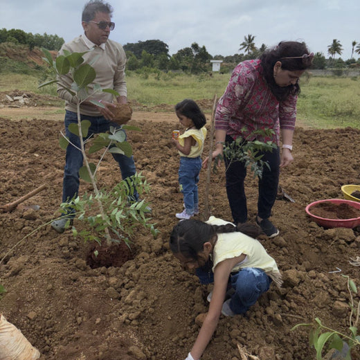 Magic, Love, and a Million Leaves: Celebrating Mehak at 10 – Planting