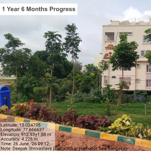 Long Live the Queens: Celebrating Wives' Birthdays with a Tree Plantation Tribute – 1 year