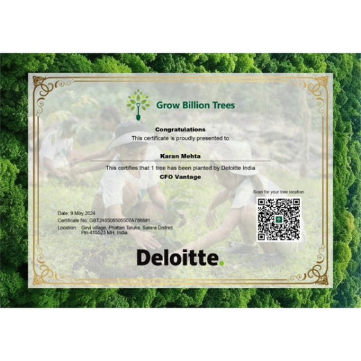 Nurturing Leadership and Sustainability: Deloitte’s Agroforest Initiative for CFO Vantage Program – Planting