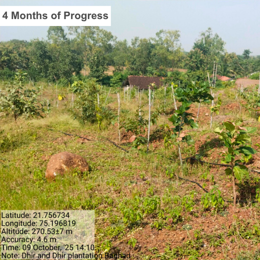 Law Meets Land: Dhir & Dhir Associates Advocates for Community Forests – 6 months