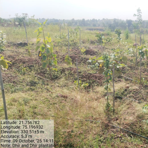 Law Meets Land: Dhir & Dhir Associates Advocates for Community Forests – 6 months