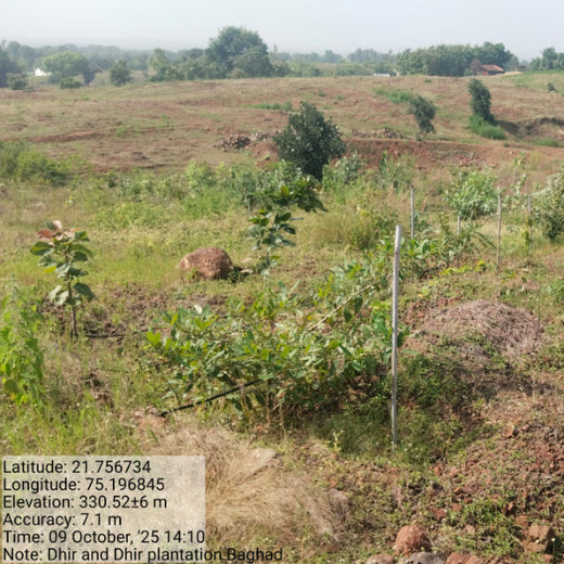 Law Meets Land: Dhir & Dhir Associates Advocates for Community Forests – 6 months